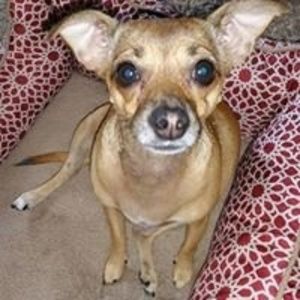 Meet your Posher, Lee